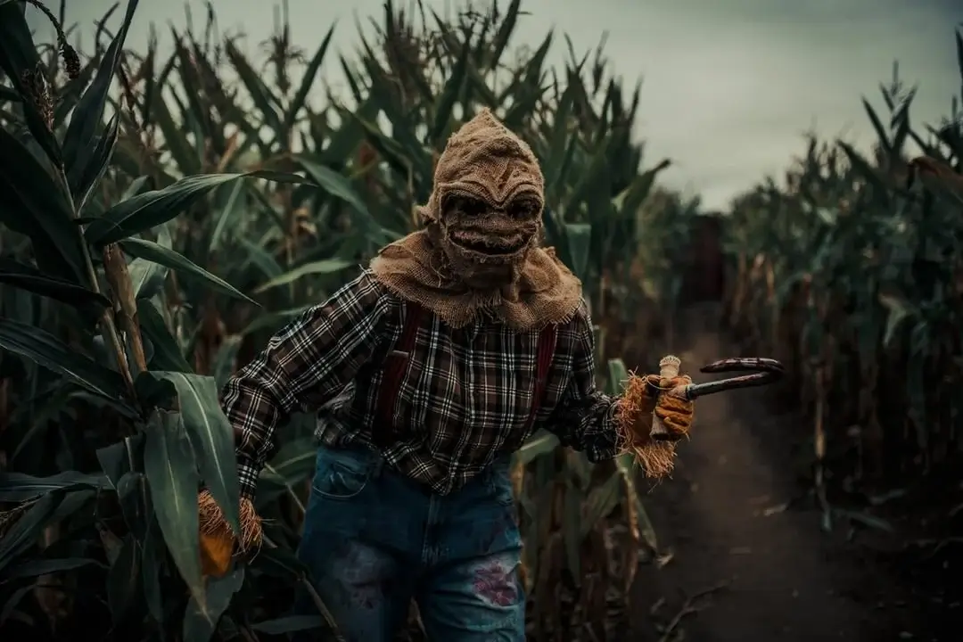 image of a scary corn maze